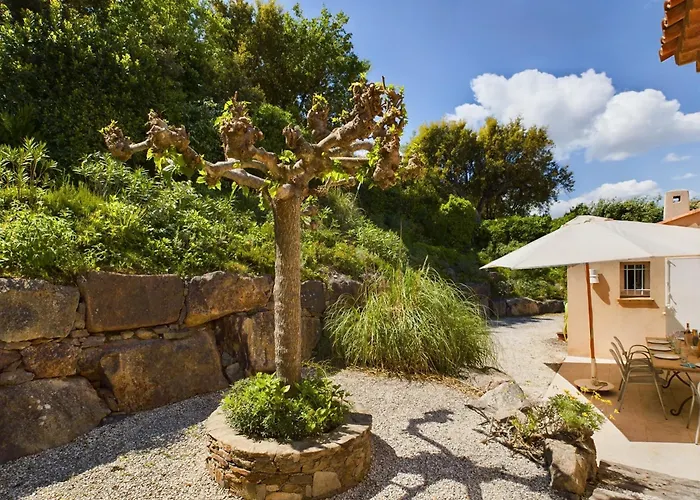 Paloma St Tropez Saint Tropez