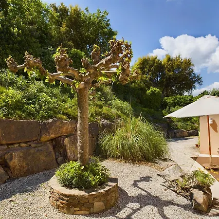 Paloma St Tropez Saint-Tropez